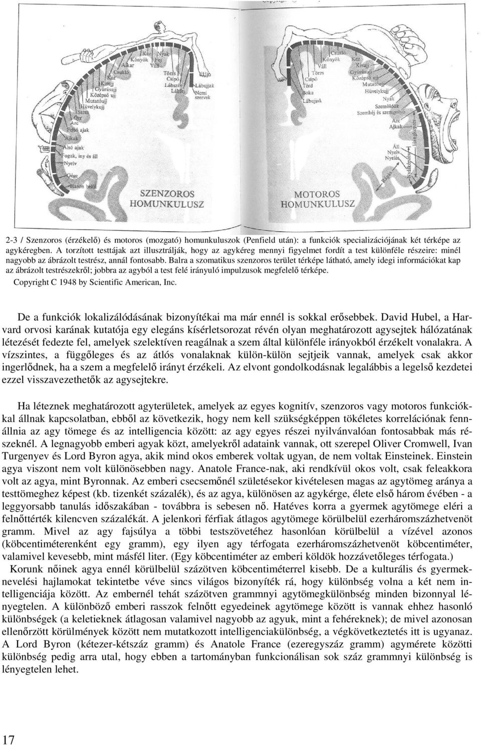 Balra a szomatikus szenzoros terület térképe látható, amely idegi információkat kap az ábrázolt testrészekről; jobbra az agyból a test felé irányuló impulzusok megfelelő térképe.