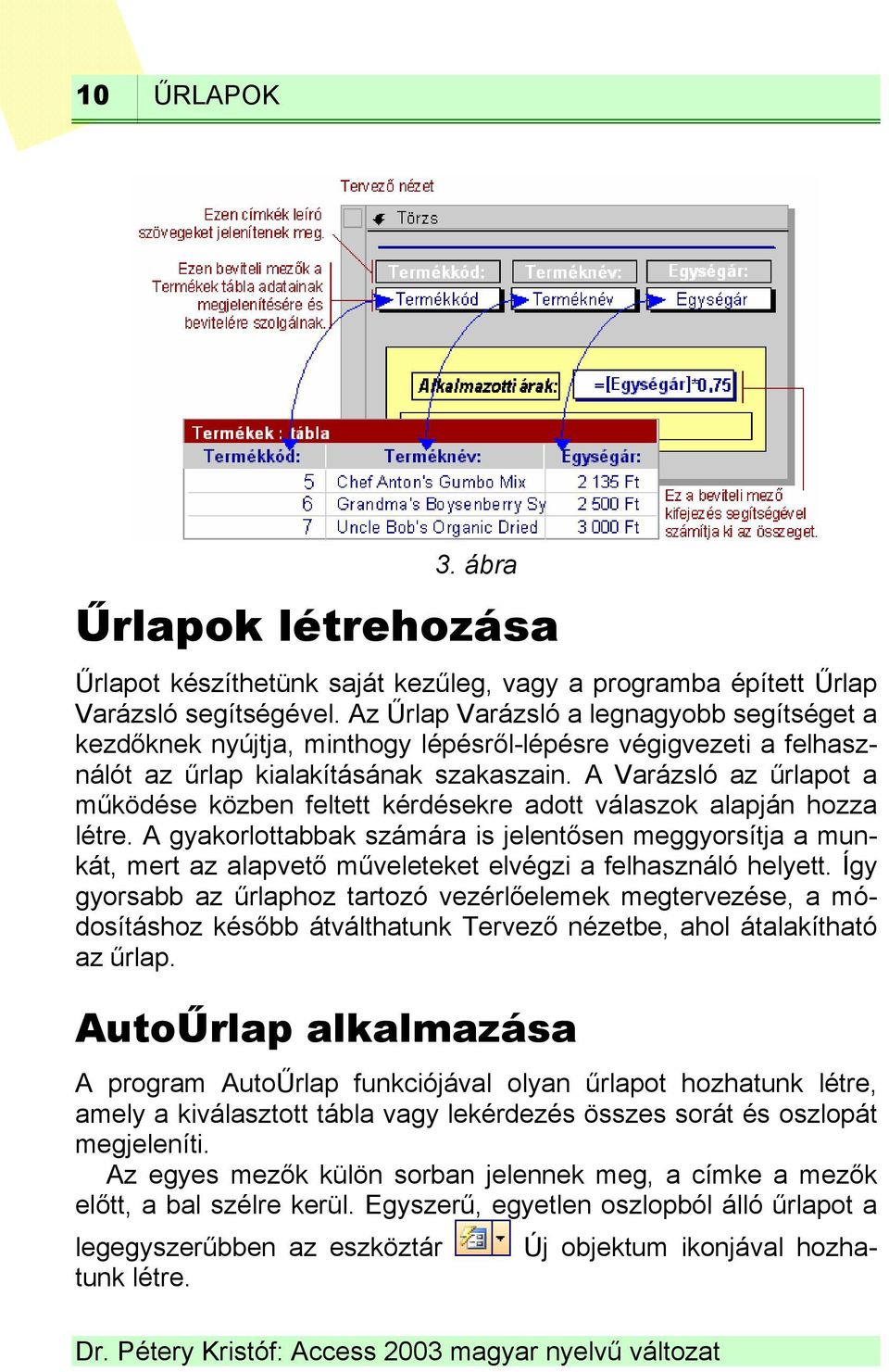 A Varázsló az űrlapot a működése közben feltett kérdésekre adott válaszok alapján hozza létre.