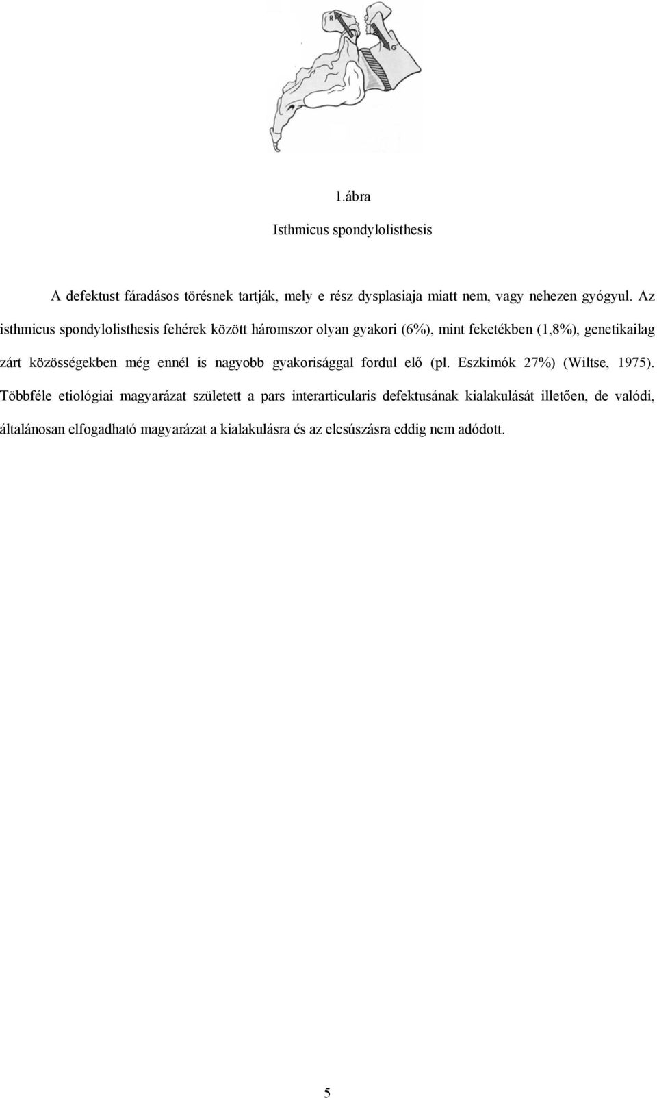 ennél is nagyobb gyakorisággal fordul elő (pl. Eszkimók 27%) (Wiltse, 1975).