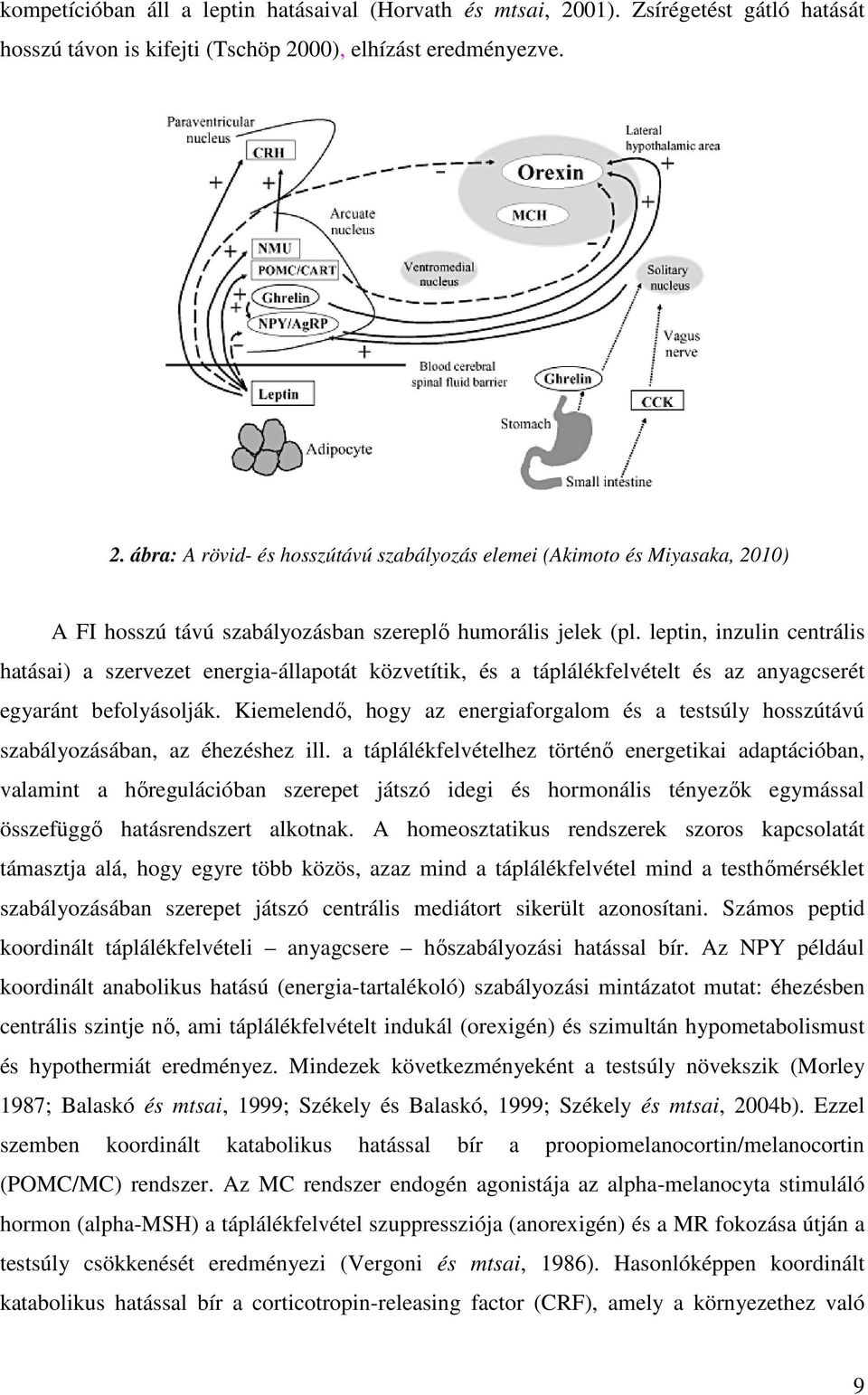 Kiemelendı, hogy az energiaforgalom és a testsúly hosszútávú szabályozásában, az éhezéshez ill.