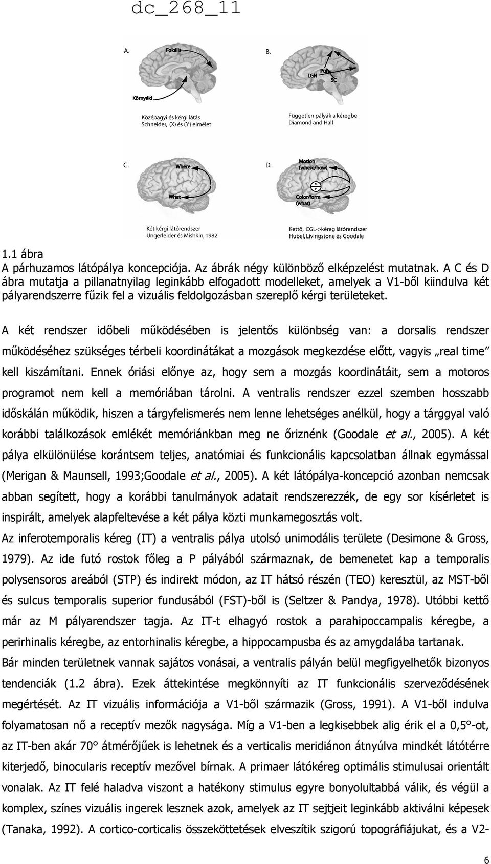 A két rendszer időbeli működésében is jelentős különbség van: a dorsalis rendszer működéséhez szükséges térbeli koordinátákat a mozgások megkezdése előtt, vagyis real time kell kiszámítani.