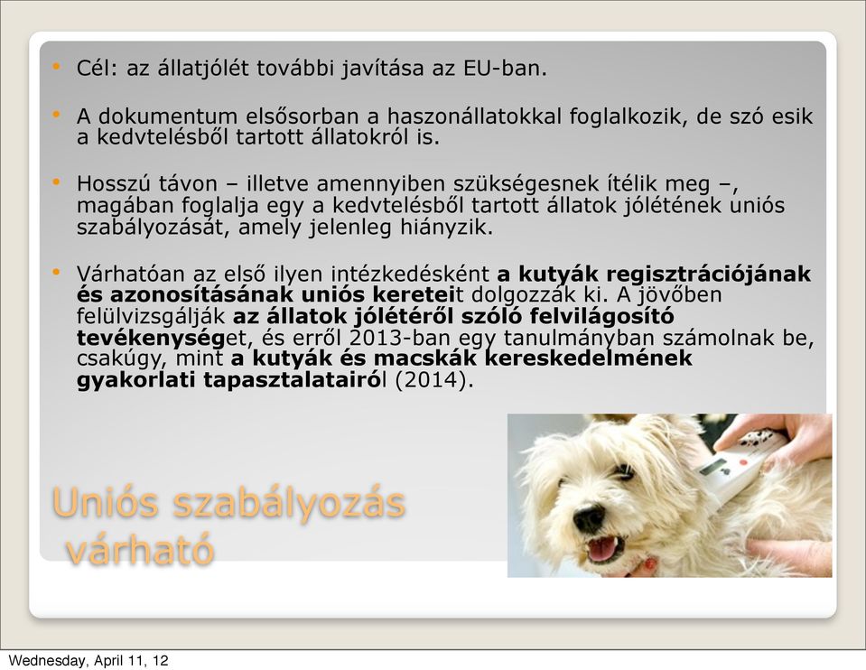 Várhatóan az első ilyen intézkedésként a kutyák regisztrációjának és azonosításának uniós kereteit dolgozzák ki.