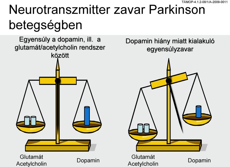 a glutamát/acetylcholin rendszer között Dopamin hiány