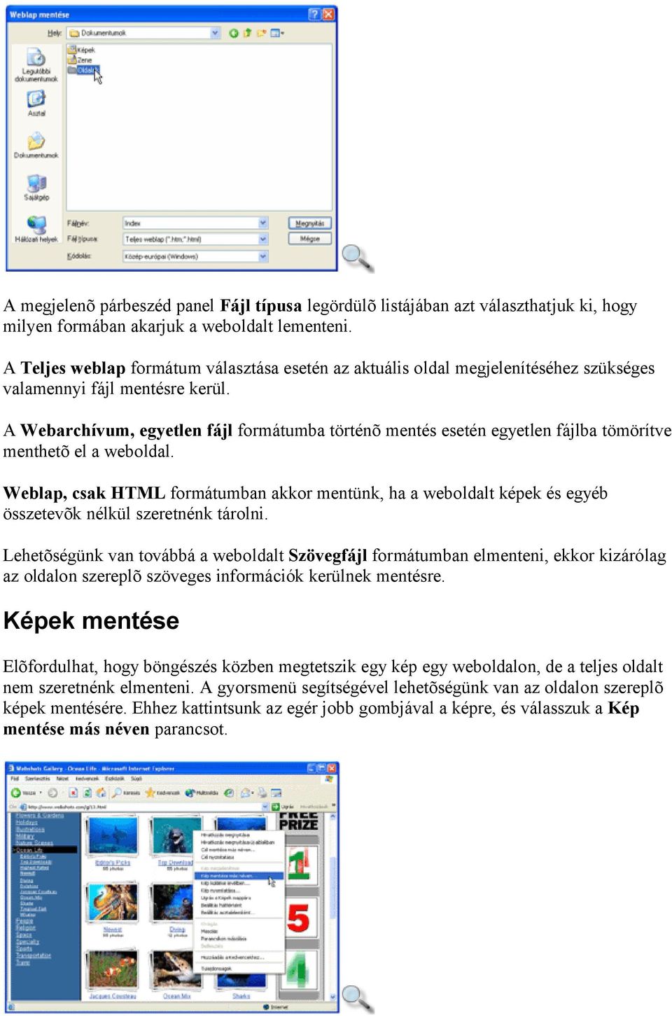 A Webarchívum, egyetlen fájl formátumba történõ mentés esetén egyetlen fájlba tömörítve menthetõ el a weboldal.