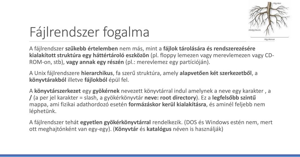 A Unix fájlrendszere hierarchikus, fa szerű struktúra, amely alapvetően két szerkezetből, a könyvtárakból illetve fájlokból épül fel.