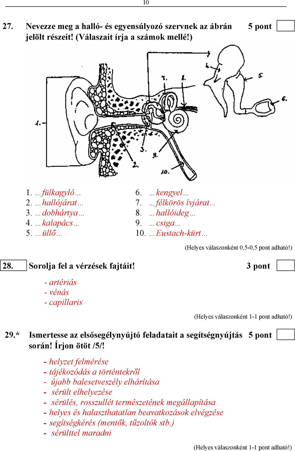 * Ismertesse az elsősegélynyújtó feladatait a segítségnyújtás 5 pont során! Írjon ötöt /5/!