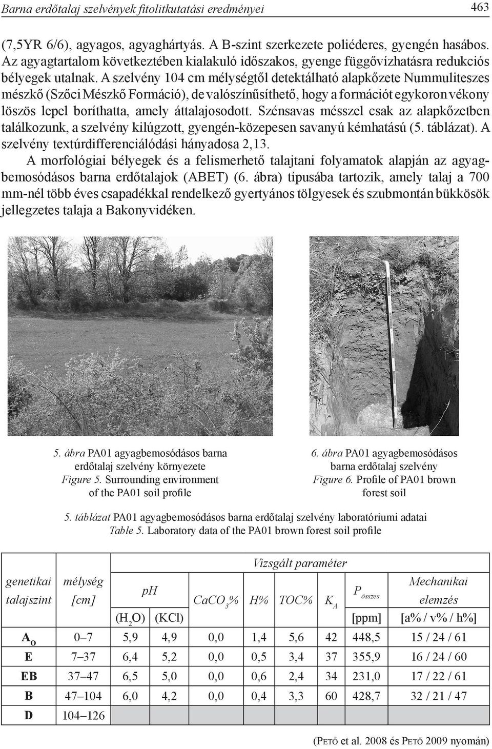 A szelvény 104 cm mélységtől detektálható alapkőzete Nummuliteszes mészkő (Szőci Mészkő Formáció), de valószínűsíthető, hogy a formációt egykoron vékony löszös lepel boríthatta, amely áttalajosodott.