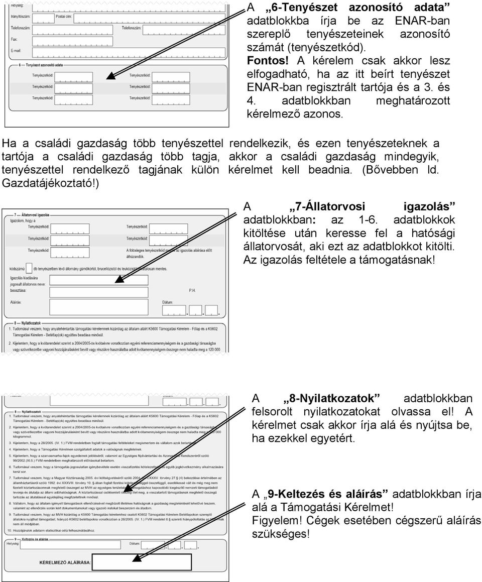 Ha a családi gazdaság több tenyészettel rendelkezik, és ezen tenyészeteknek a tartója a családi gazdaság több tagja, akkor a családi gazdaság mindegyik, tenyészettel rendelkező tagjának külön