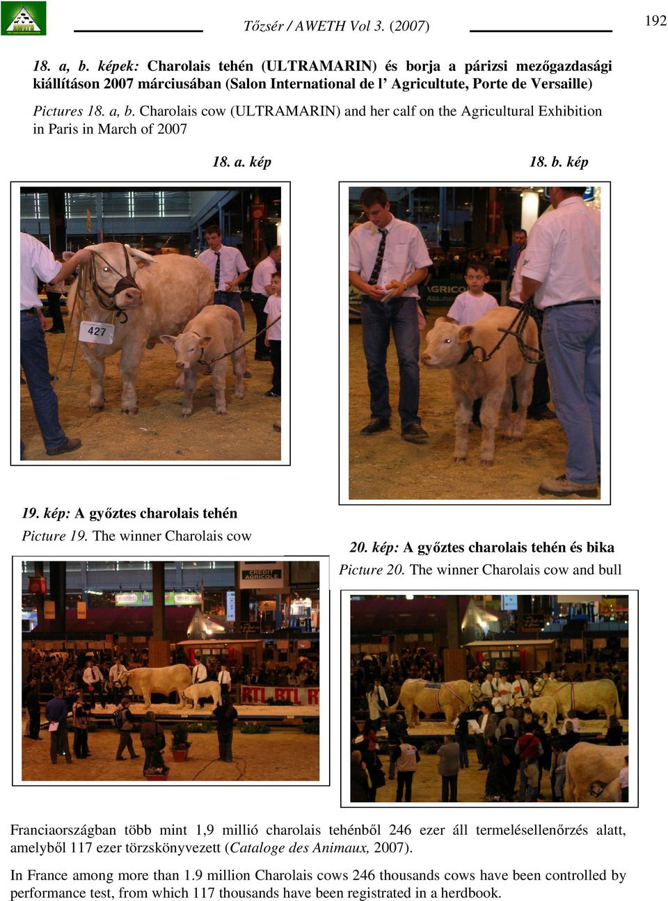 The winner Charolais cow and bull Franciaországban több mint 1,9 millió charolais tehénbıl 246 ezer áll termelésellenırzés alatt, amelybıl 117 ezer törzskönyvezett (Cataloge des Animaux, 2007).