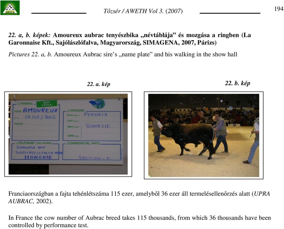 Amoureux Aubrac sire s name plate and his walking in the show hall 22. a. kép 22. b.