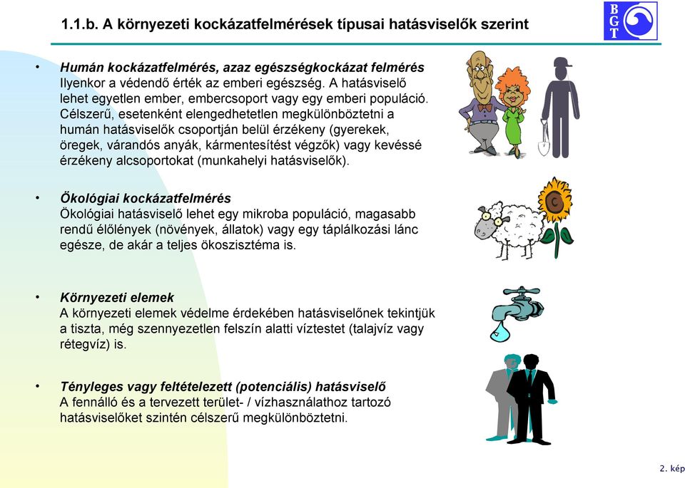 Célszerű, esetenként elengedhetetlen megkülönböztetni a humán hatásviselők csoportján belül érzékeny (gyerekek, öregek, várandós anyák, kármentesítést végzők) vagy kevéssé érzékeny alcsoportokat