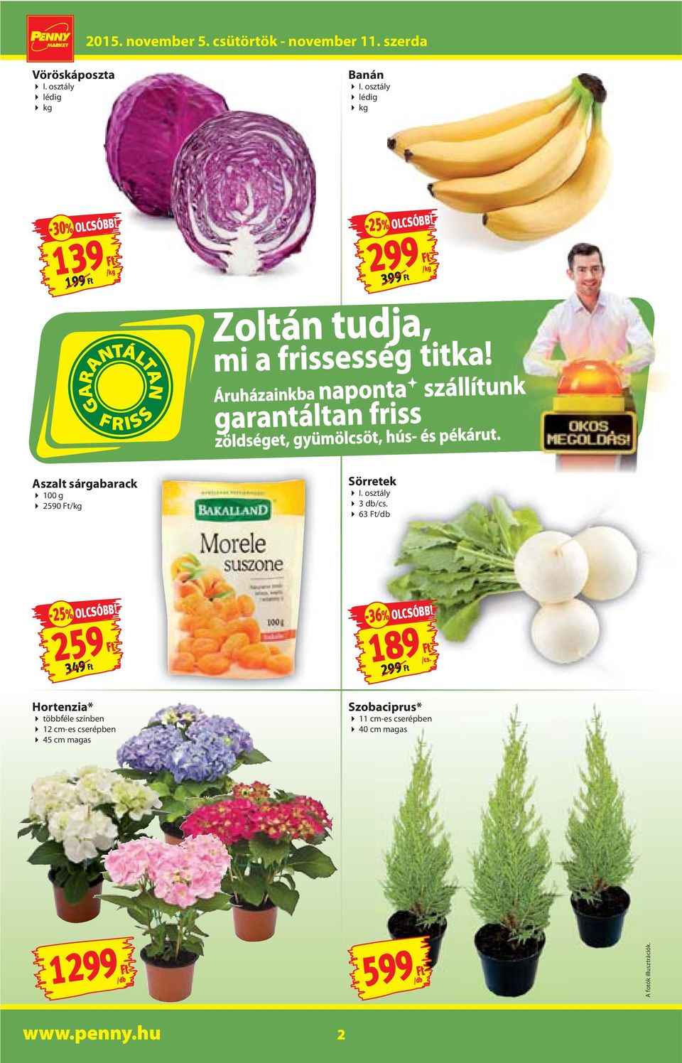 Áruházainkba naponta szállítunk garantáltan friss zöldséget, gyümölcsöt, hús- és pékárut. /kg Aszalt sárgabarack 100 g 2590 Ft/kg Sörretek I.