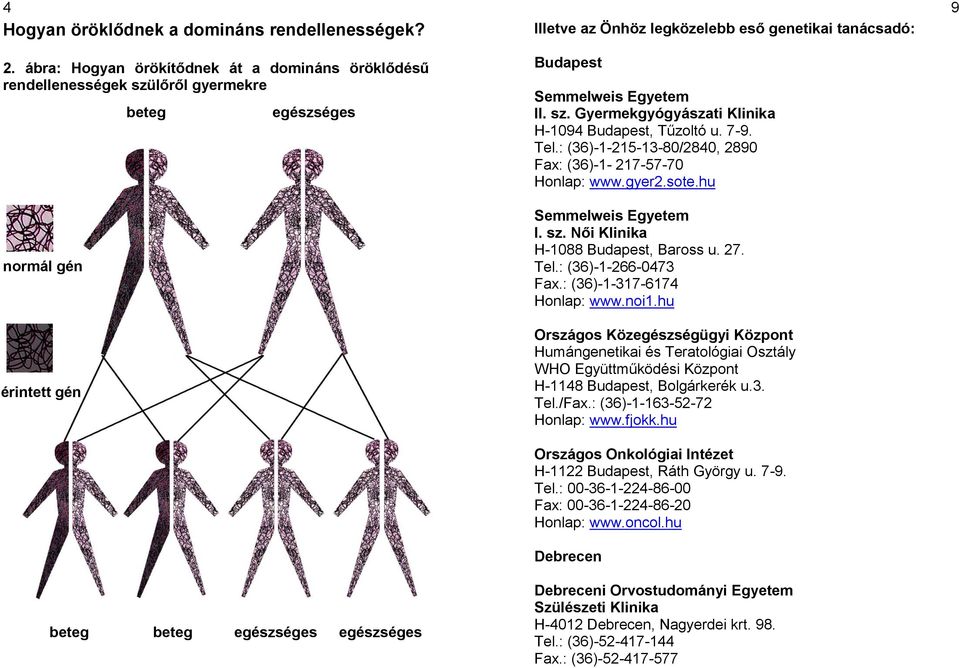 Semmelweis Egyetem II. sz. Gyermekgyógyászati Klinika H-1094 Budapest, Tűzoltó u. 7-9. Tel.: (36)-1-215-13-80/2840, 2890 Fax: (36)-1-217-57-70 Honlap: www.gyer2.sote.hu Semmelweis Egyetem I. sz. Női Klinika H-1088 Budapest, Baross u.