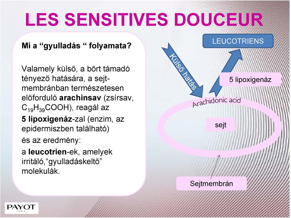 sejtmembránban természetesen előforduló arachinsav (zsírsav, C 19 H 39 COOH), reagál az