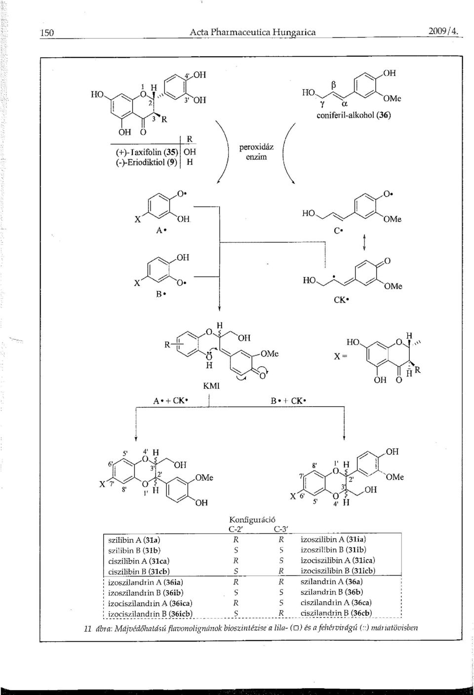 ,,, OR j 5' 4' 6'rf"Yo i z X~O 8', "' OMe h 7'Yb3~2 X~O 5' 4' 'OM e szilibin A (3a) szilibin B (3b) ciszilibin A (3ca) ciszilibin B (3lcb) ; izoszilandrin A (36ia) Koúiguáció C-2' C-3' R R s 5 R 5 S