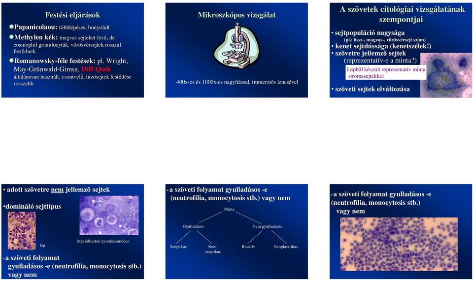 citológiai vizsgálatának szempontjai sejtpopuláció nagysága (pl.: össz-, magvas-, vörösvérsejt szám) kenet sejtdússága (kenetszélek!) szövetre jellemz sejtek (reprezentatív-e a minta?