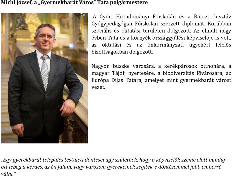 Az elmúlt négy évben Tata és a környék országgyűlési képviselője is volt, az oktatási és az önkormányzati ügyekért felelős bizottságokban dolgozott.