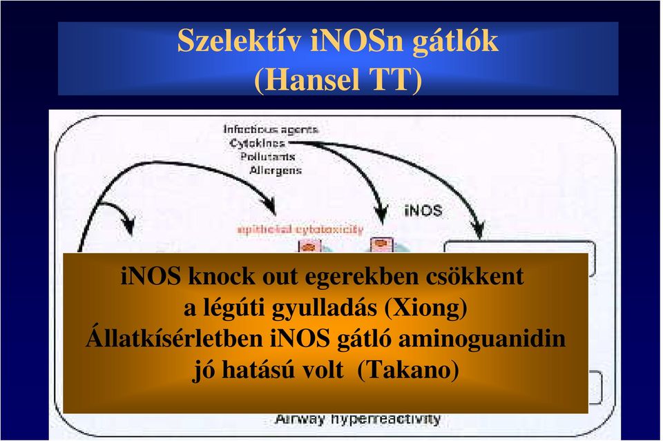 gyulladás (Xiong) Állatkísérletben inos