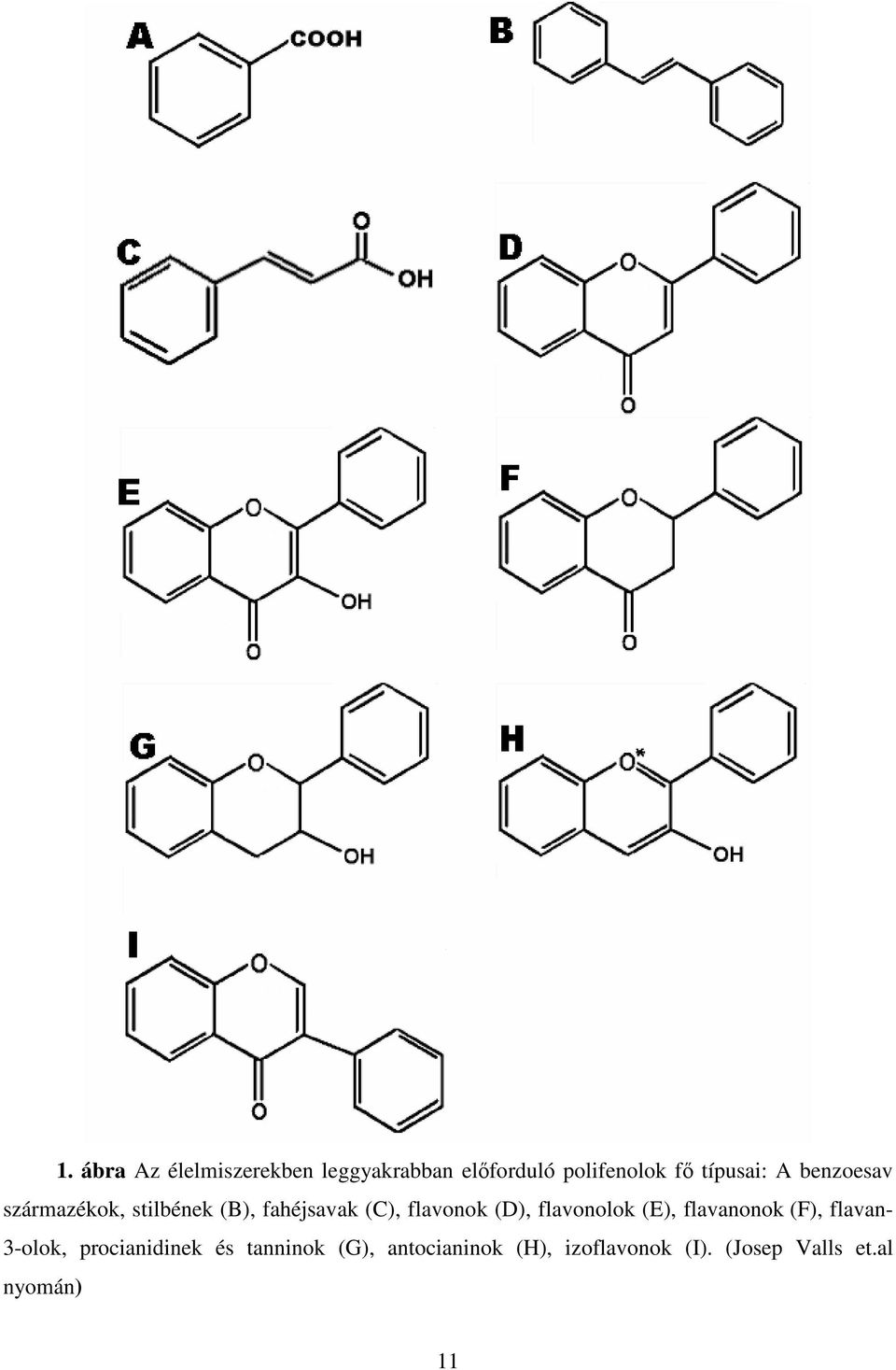 flavonok (D), flavonolok (E), flavanonok (F), flavan- 3-olok,