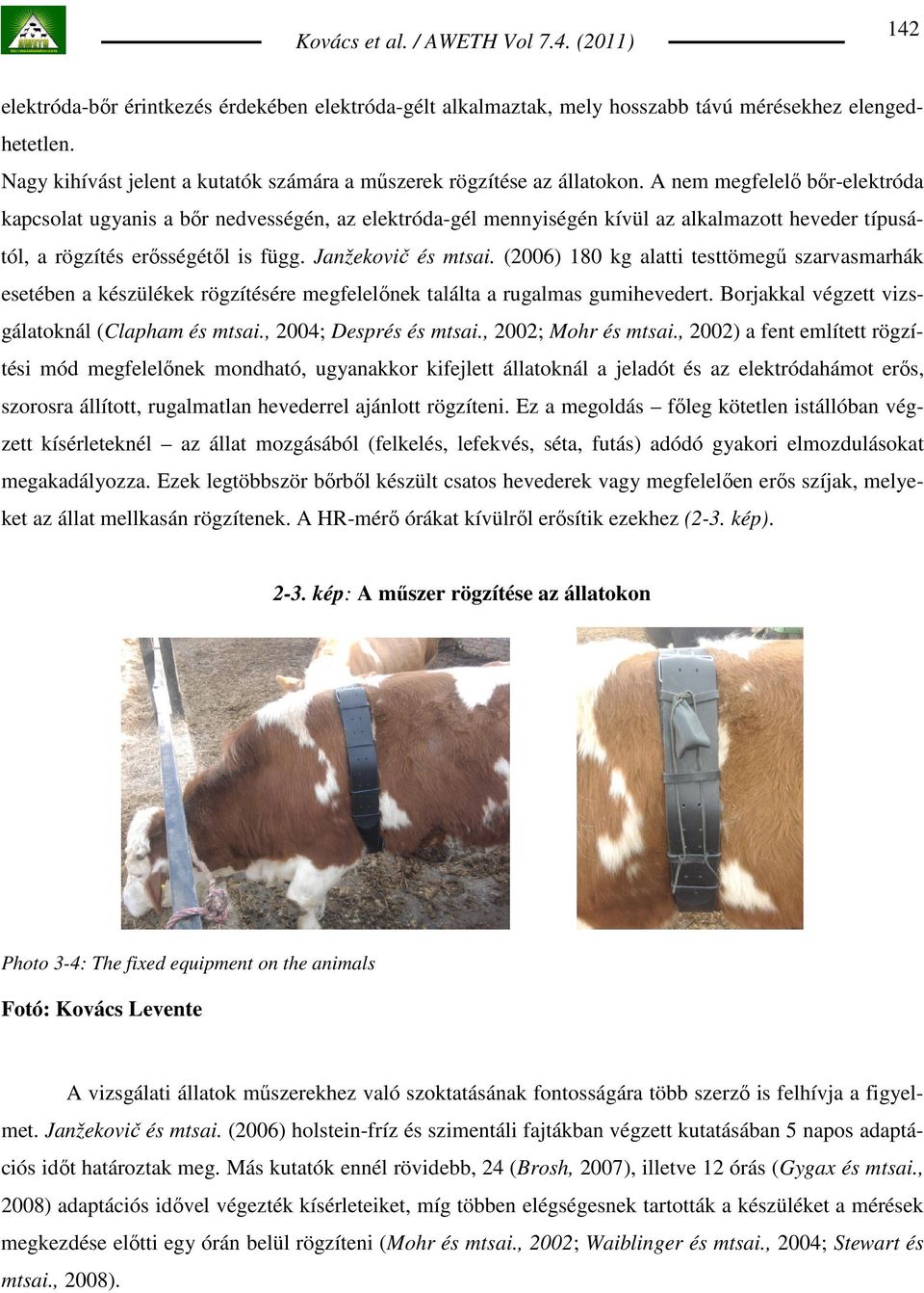 (2006) 180 kg alatti testtömegő szarvasmarhák esetében a készülékek rögzítésére megfelelınek találta a rugalmas gumihevedert. Borjakkal végzett vizsgálatoknál (Clapham és mtsai.