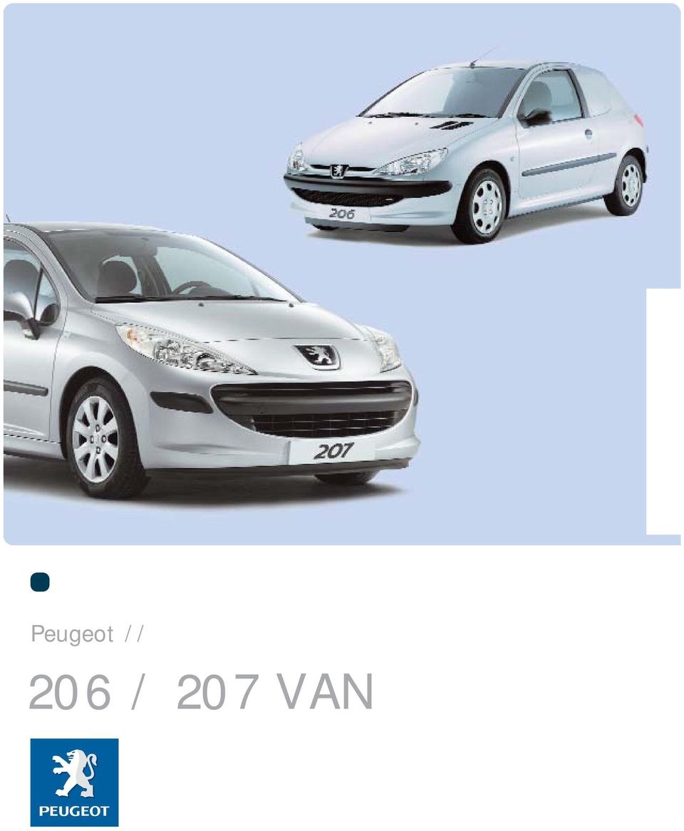 207 VAN