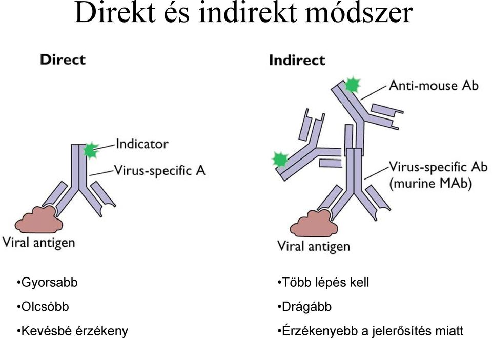 érzékeny Több lépés kell