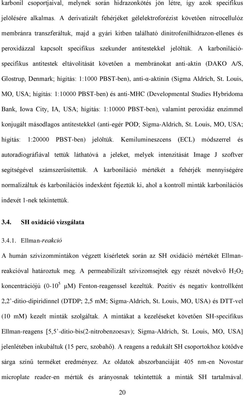 antitestekkel jelöltük. A karbonilációspecifikus antitestek eltávolítását követően a membránokat anti-aktin (DAKO A/S, Glostrup, Denmark; hígítás: 1:1000 PBST-ben), anti-α-aktinin (Sigma Aldrich, St.