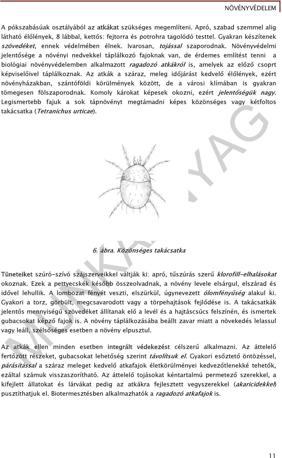 Növényvédelmi jelentősége a növényi nedvekkel táplálkozó fajoknak van, de érdemes említést tenni a biológiai növényvédelemben alkalmazott ragadozó atkákról is, amelyek az előző csoprt képviselőivel