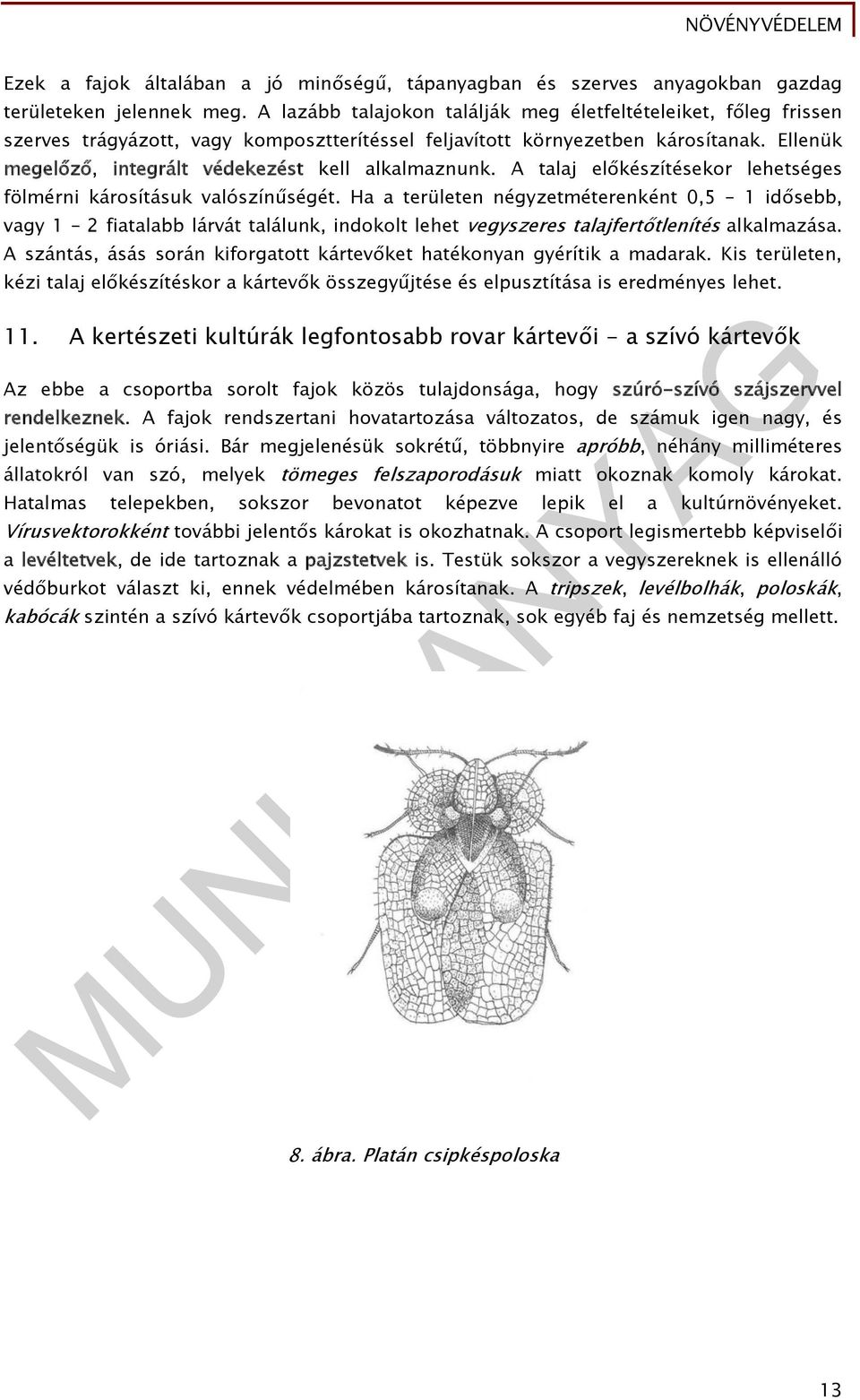 Ellenük megelőző, integrált védekezést kell alkalmaznunk. A talaj előkészítésekor lehetséges fölmérni károsításuk valószínűségét.