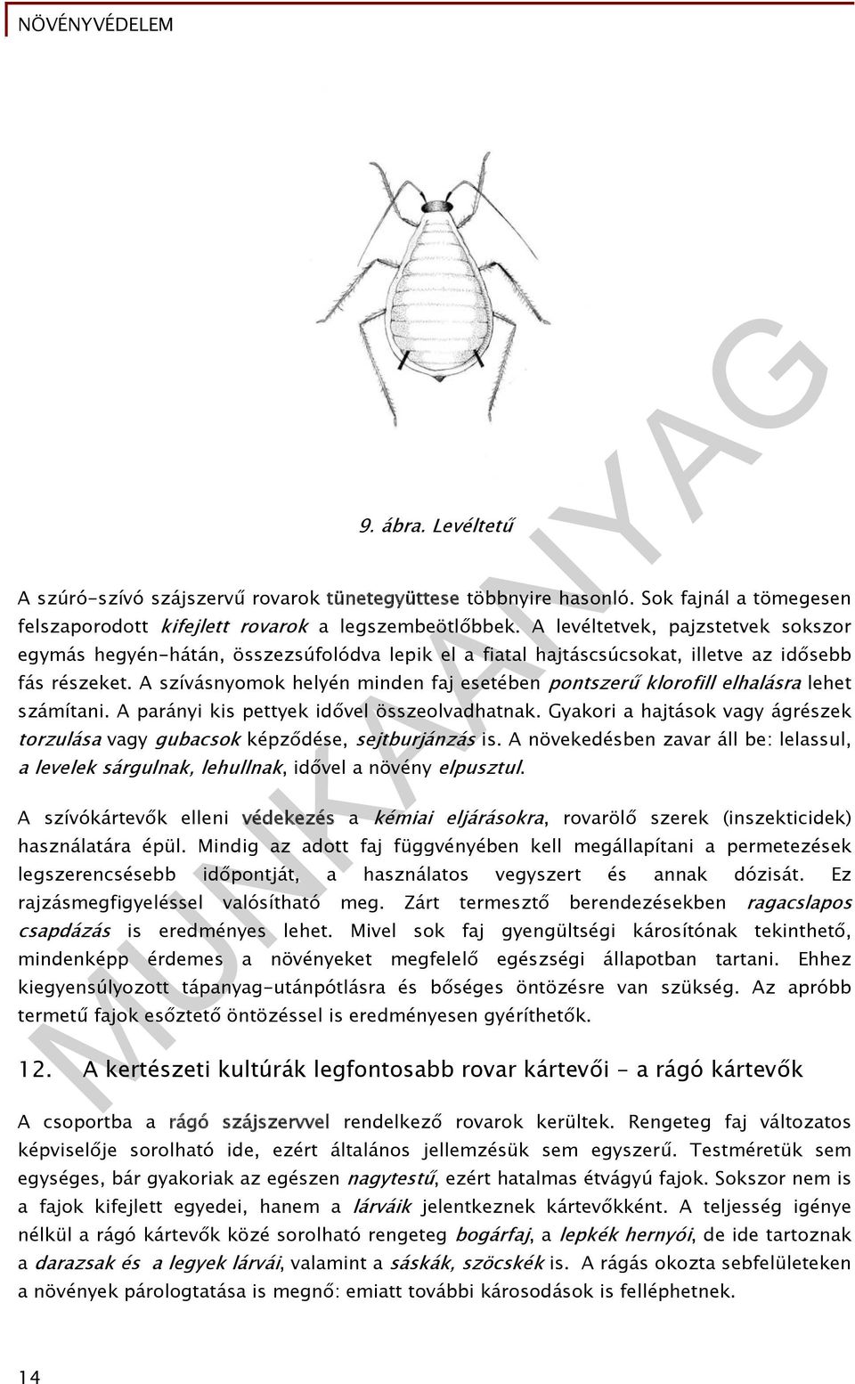 A szívásnyomok helyén minden faj esetében pontszerű klorofill elhalásra lehet számítani. A parányi kis pettyek idővel összeolvadhatnak.