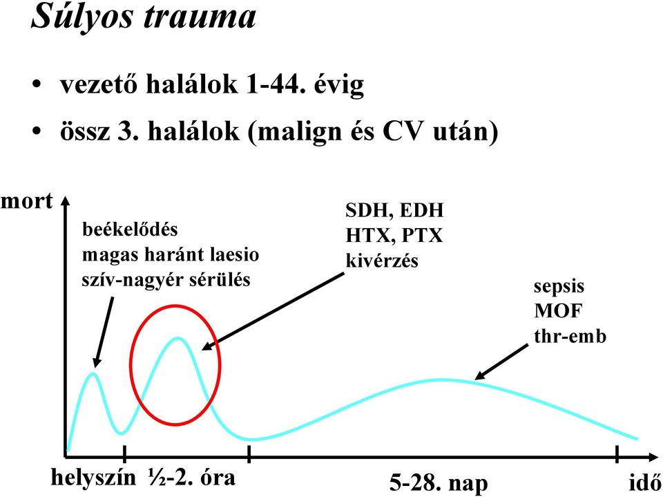 haránt laesio szív-nagyér sérülés SDH, EDH HTX, PTX