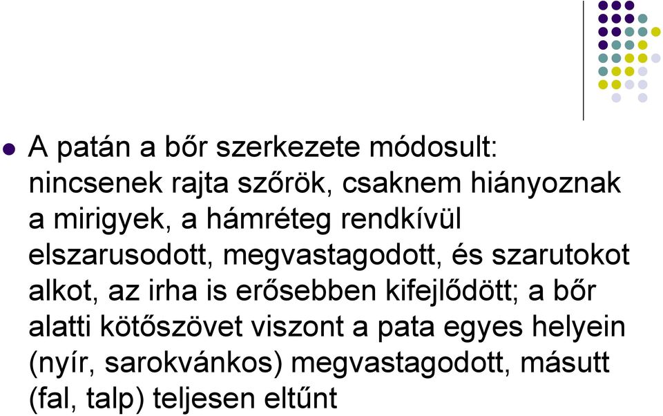 alkot, az irha is erősebben kifejlődött; a bőr alatti kötőszövet viszont a pata