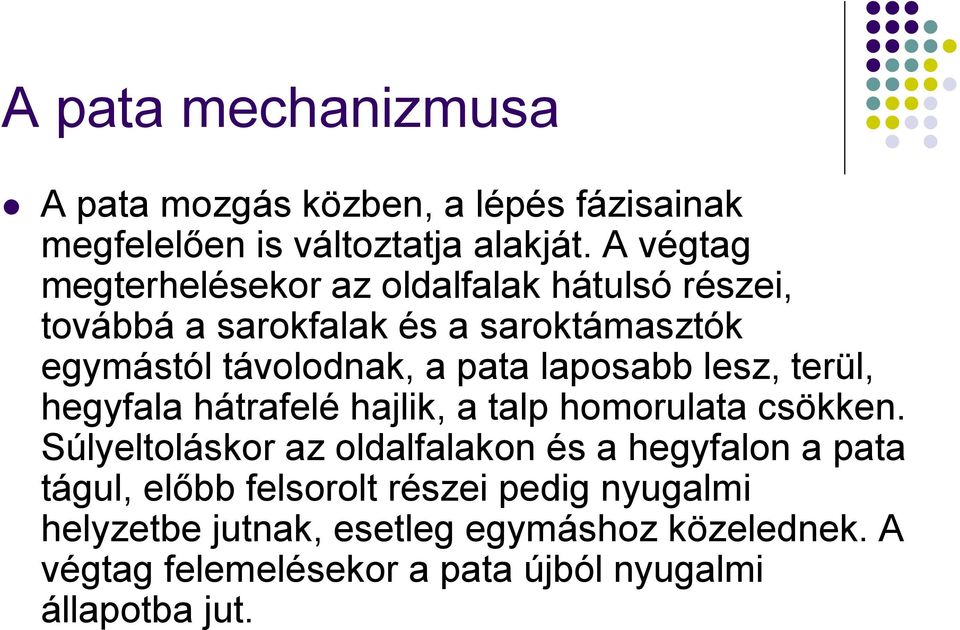 laposabb lesz, terül, hegyfala hátrafelé hajlik, a talp homorulata csökken.