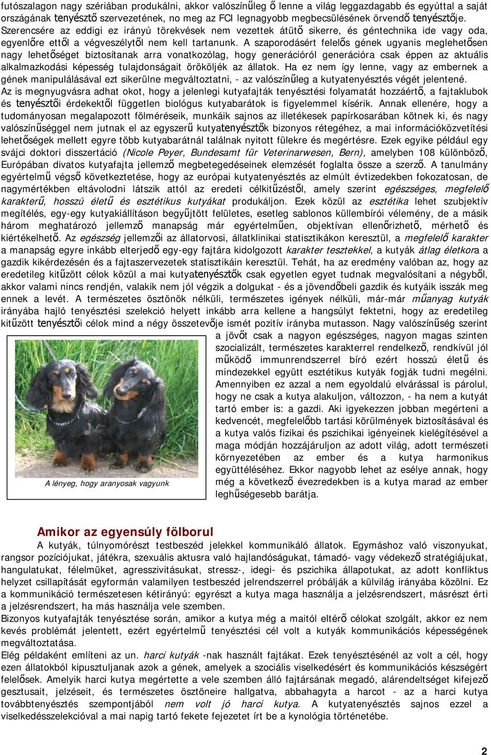 A szaporodásért felel s gének ugyanis meglehet sen nagy lehet séget biztosítanak arra vonatkozólag, hogy generációról generációra csak éppen az aktuális alkalmazkodási képesség tulajdonságait