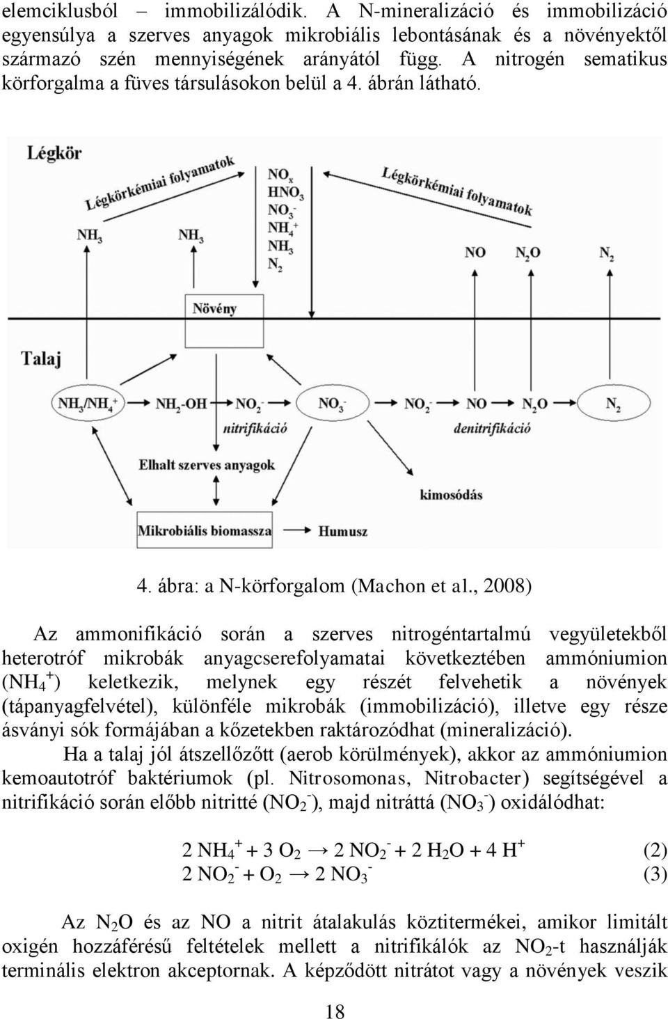 , 2008) Az ammonifikáció során a szerves nitrogéntartalmú vegyületekből heterotróf mikrobák anyagcserefolyamatai következtében ammóniumion (NH 4 + ) keletkezik, melynek egy részét felvehetik a