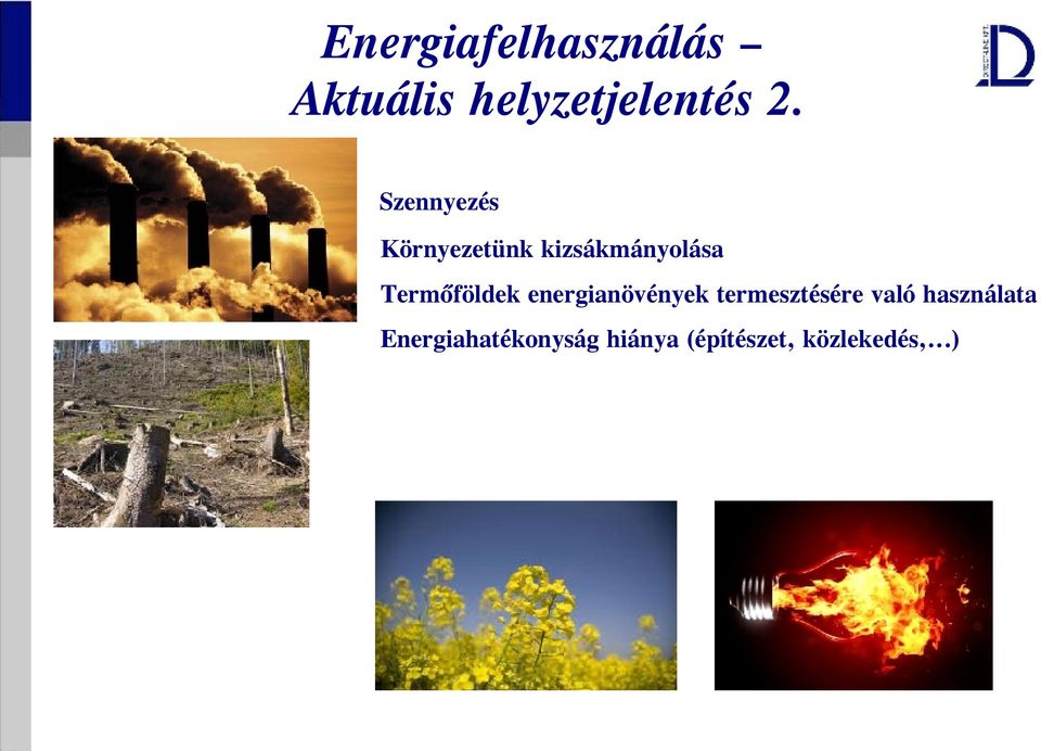 Termőföldek energianövények termesztésére való