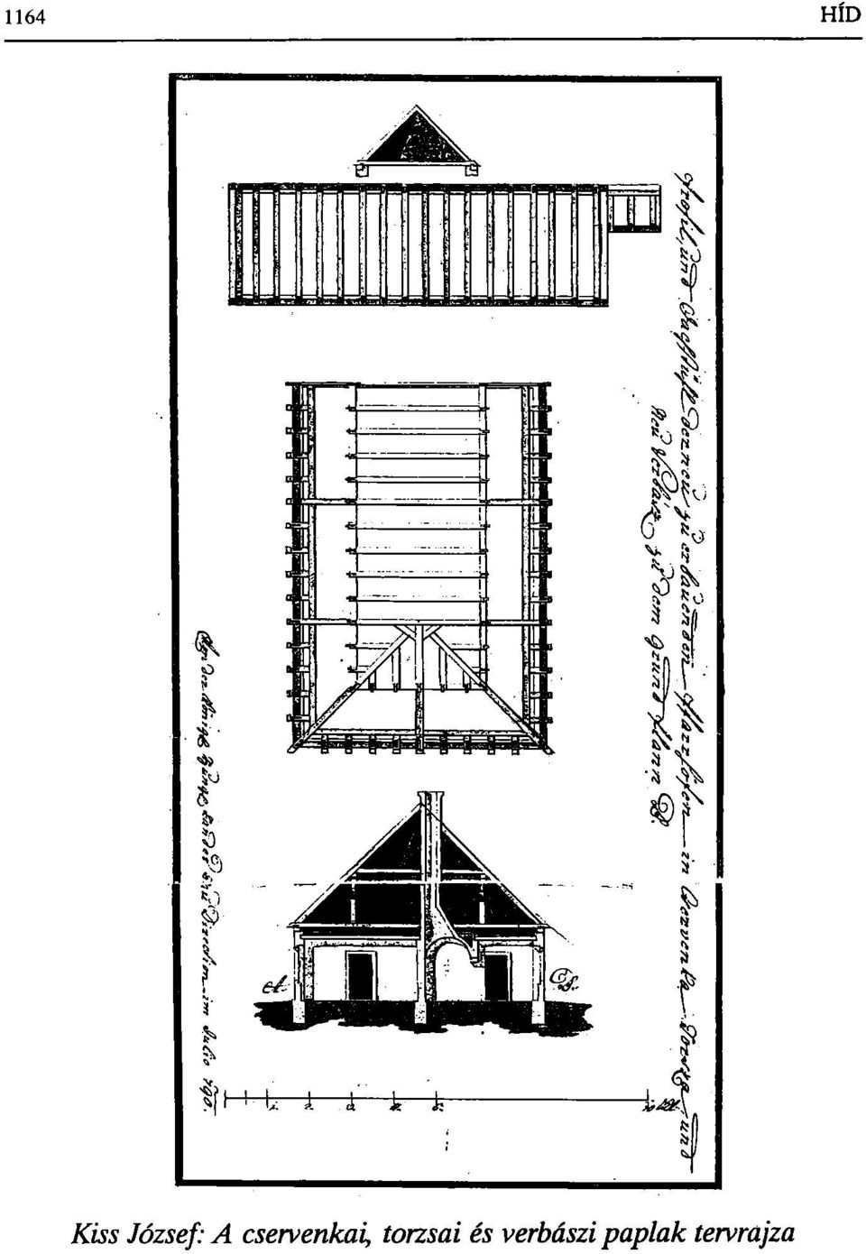 torzsai és