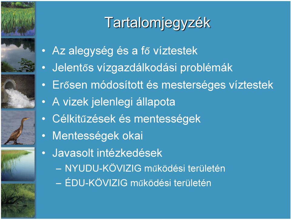 állapota Célkitűzések és mentességek Mentességek okai Javasolt