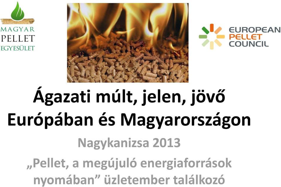 Nagykanizsa 2013 Pellet, a