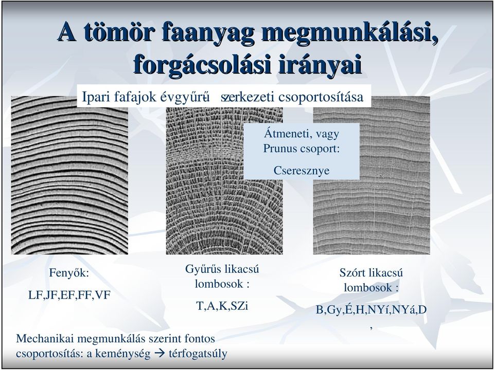 Fenyık: LF,JF,EF,FF,VF Győrős likacsú lombosok : T,A,K,SZi Mechanikai megmunkálás