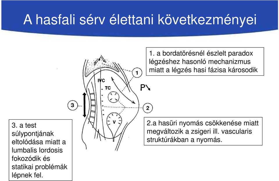 fázisa károsodik 3.