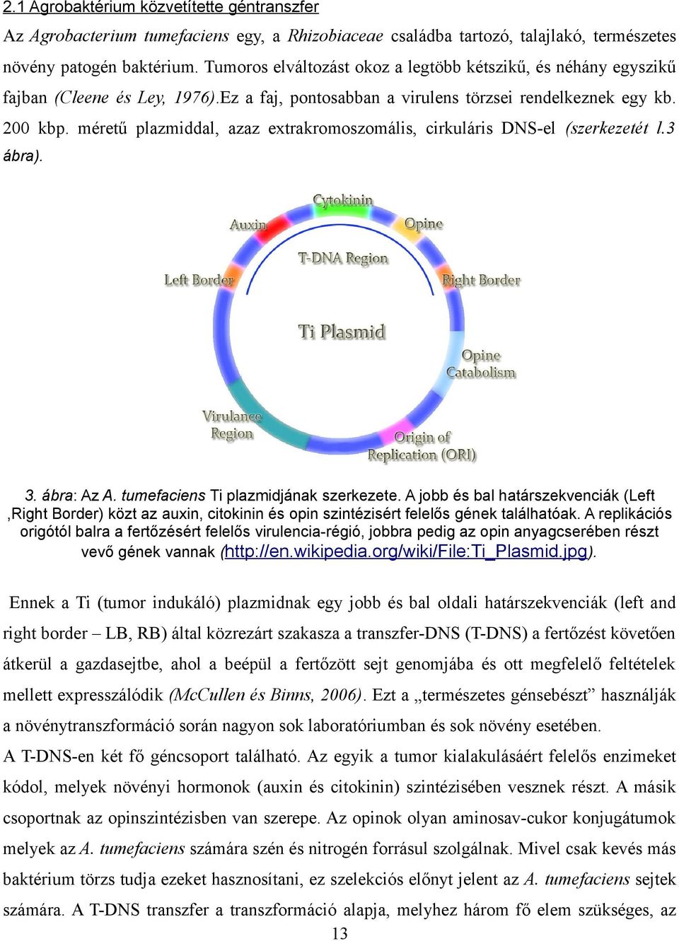 méretű plazmiddal, azaz extrakromoszomális, cirkuláris DNS-el (szerkezetét l.3 ábra). 3. ábra: Az A. tumefaciens Ti plazmidjának szerkezete.