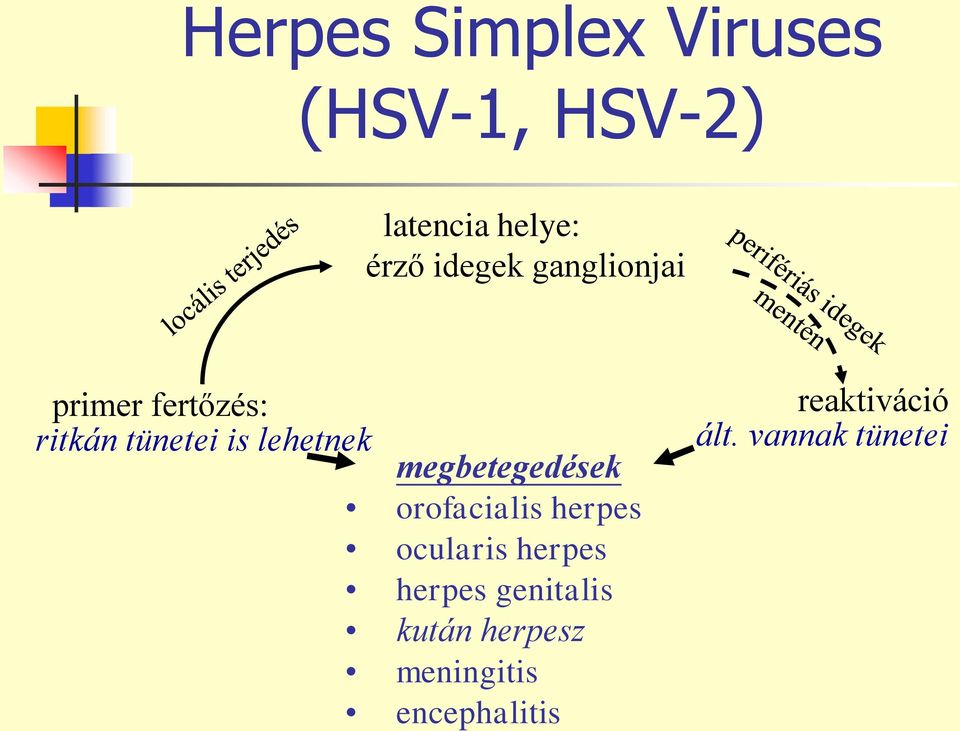 megbetegedések orofacialis herpes ocularis herpes herpes