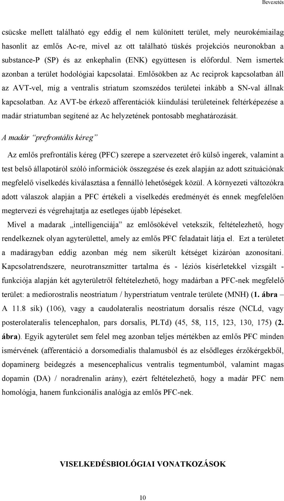 Emlősökben az Ac reciprok kapcsolatban áll az AVT-vel, míg a ventralis striatum szomszédos területei inkább a SN-val állnak kapcsolatban.