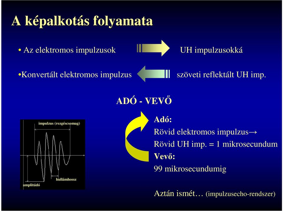 ADÓ - VEVŐ impulzus (rezgéscsomag) Adó: Rövid elektromos impulzus Rövid UH