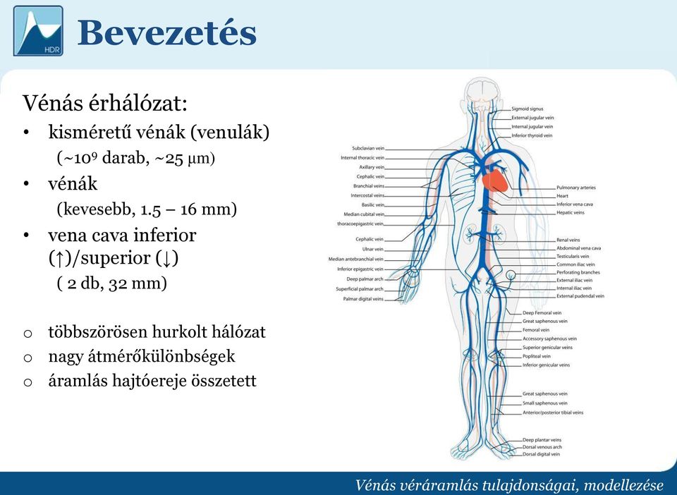 5 16 mm) vena cava inferior ( )/superior ( ) ( 2 db, 32 mm)