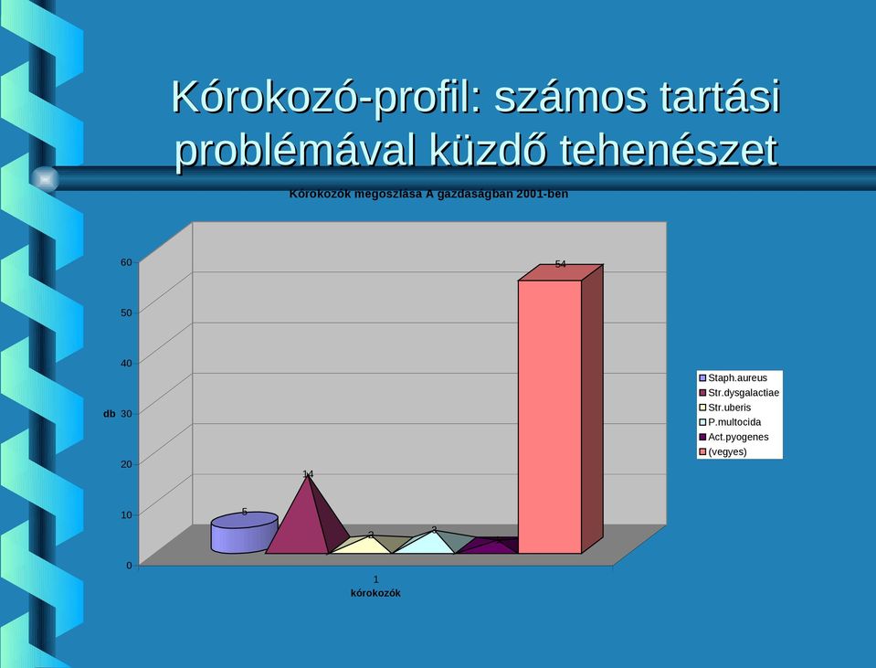 60 54 50 40 Staph.aureus Str.dysgalactiae Str.uberis P.