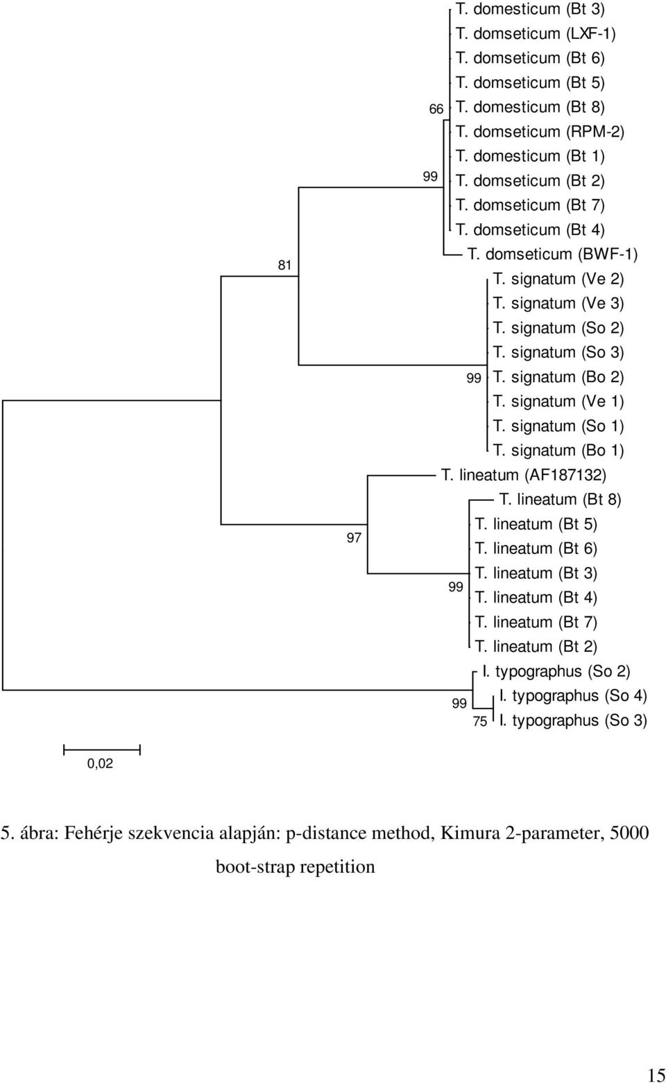 signatum (Bo 1) T. lineatum (Bt 4) I. typographus (So 2) I. typographus (So 4) 75 I.