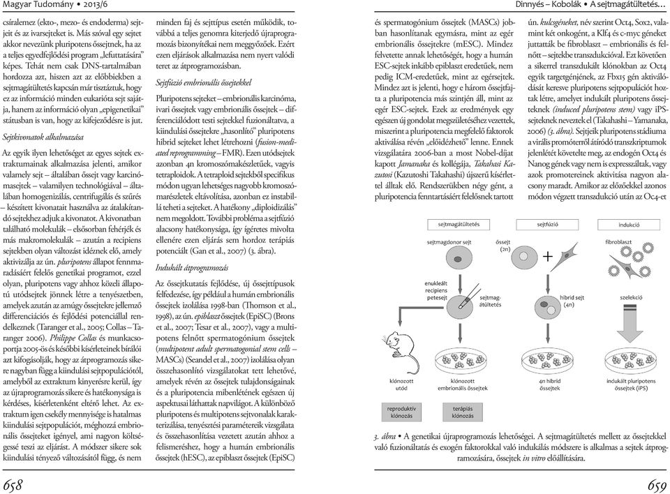 epigenetikai státusban is van, hogy az kifejeződésre is jut.