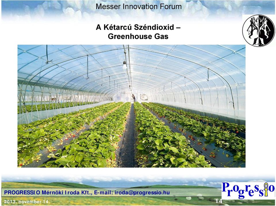 Greenhouse Gas